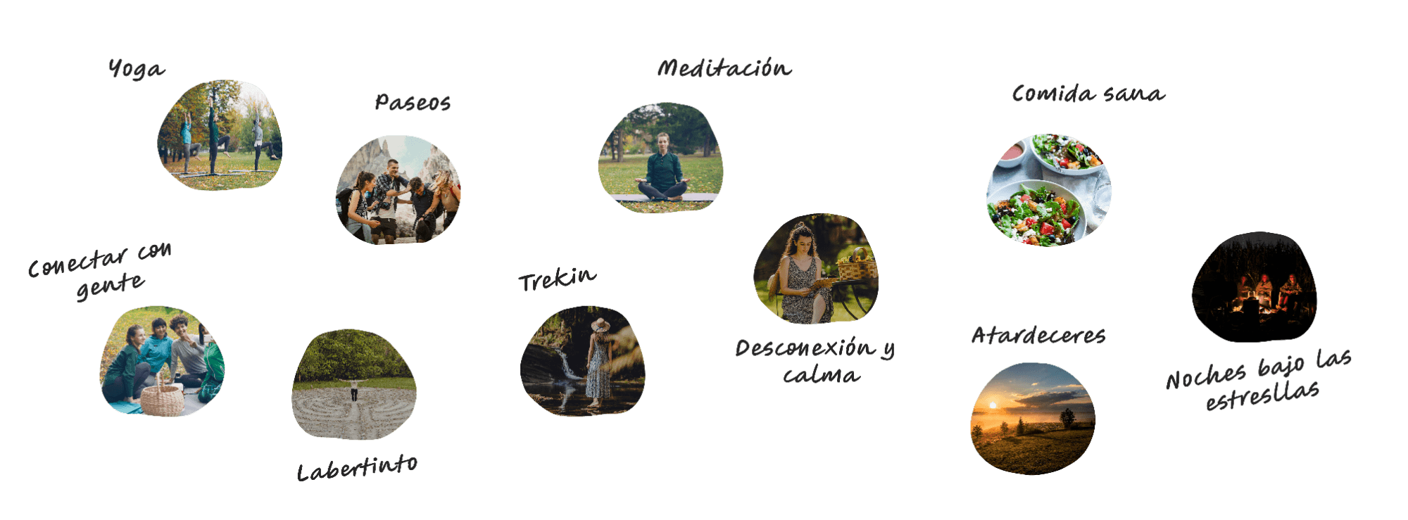 Collage de actividades de Vizcaya Roots